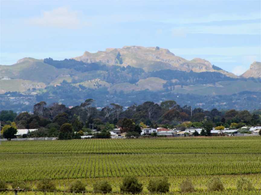 Unison Vineyard, Hastings, New Zealand