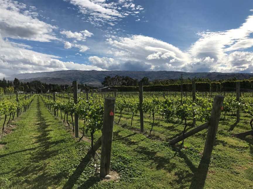 Weaver Estate Wines, Alexandra, New Zealand