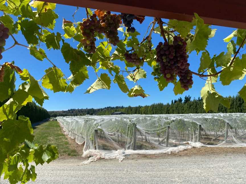 Wild Irishman Wines, Gibbston, New Zealand