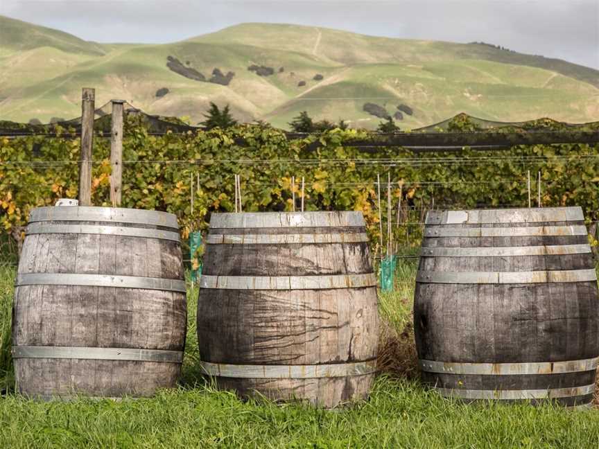 Big Sky, Martinborough, New Zealand