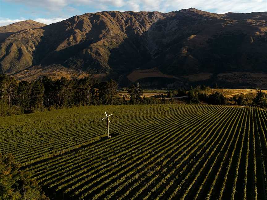 Coal Pit Vineyard, Gibbston, New Zealand