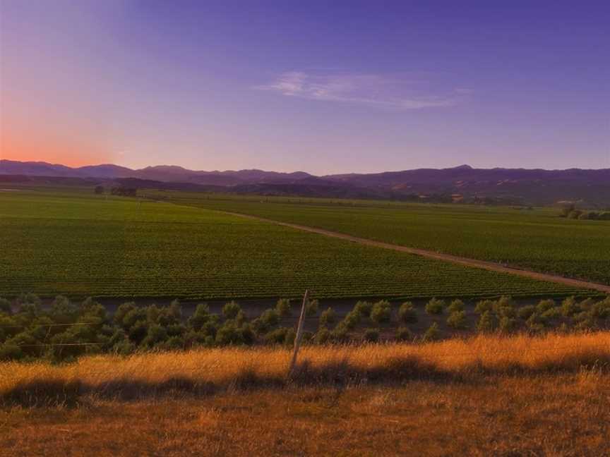 Dog Point Vineyard, Renwick, New Zealand