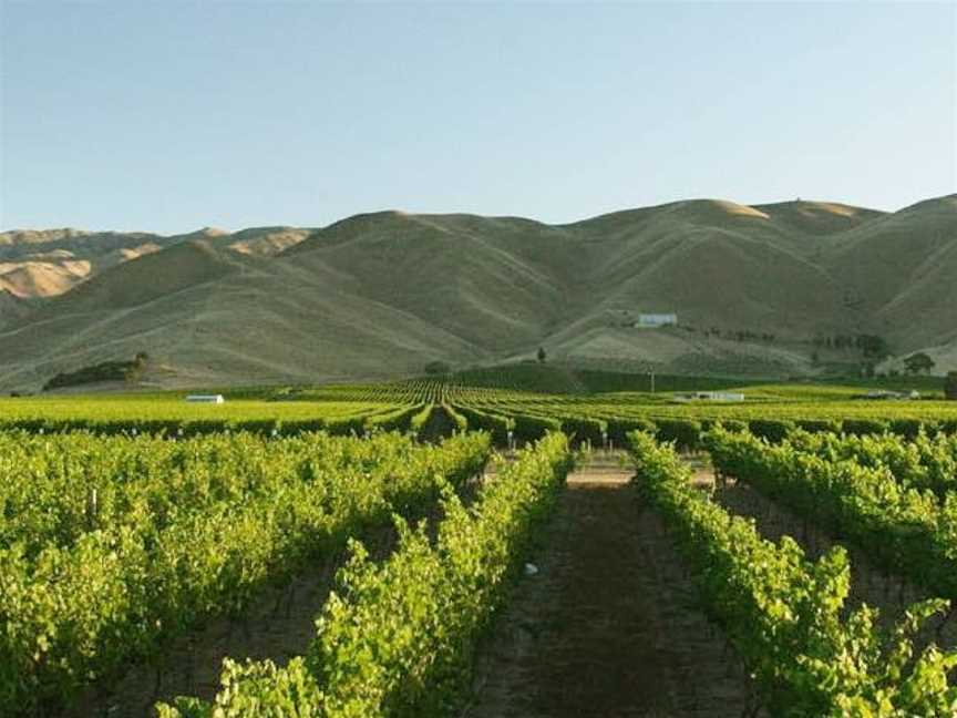 Fairhall Downs, Blenheim, New Zealand