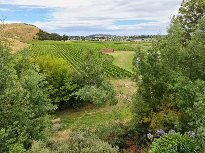 Mission Estate, Poraiti, New Zealand