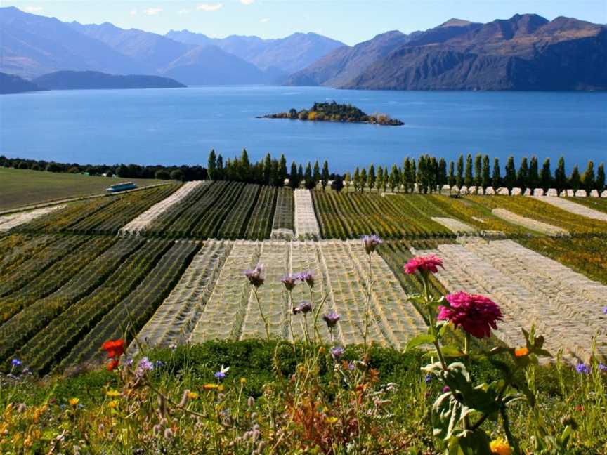 Rippon, Wanaka, New Zealand