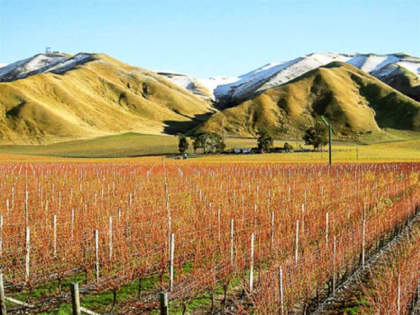 Stanley Estates, Lower Dashwood, New Zealand