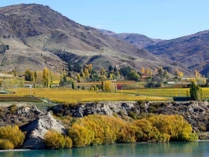 Terra Sancta, Bannockburn, New Zealand