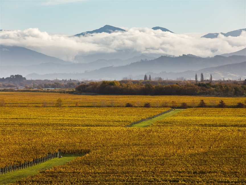 Whitehaven Wine Company,Whitehaven Wines, Blenheim, New Zealand