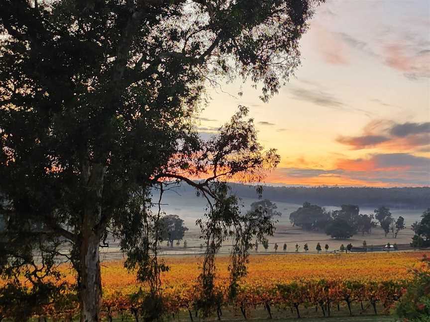 Bunderra Estate , Wineries in Chowerup