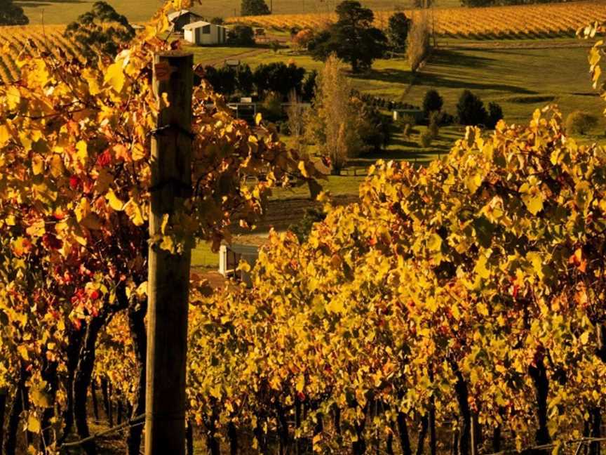 Nannup Ridge Estate, Wineries in Nannup