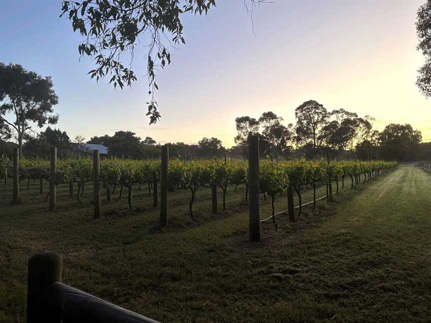 A beautiful sunrise over Lion Mill Vineyards in Mount Helena