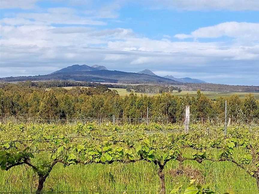 Delpeche' Wines, Wineries in Mount Barker