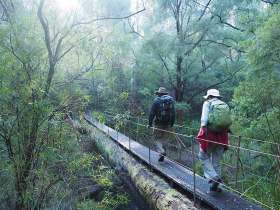 Hiking the Bibbulmun Track