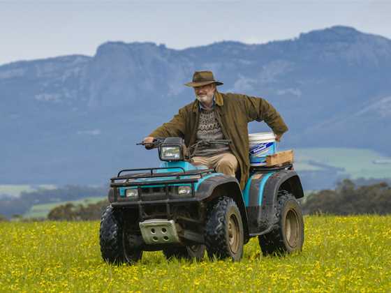 Jeremy Sims' new film RAMS showcases the unique landscapes of Mount Barker