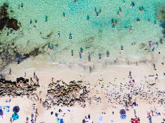 Snorkelling sites along the Perth coast