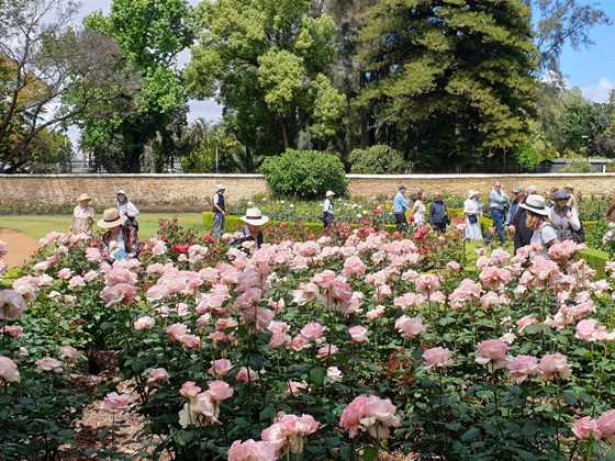 Best spots in Perth for a lunch-break picnic