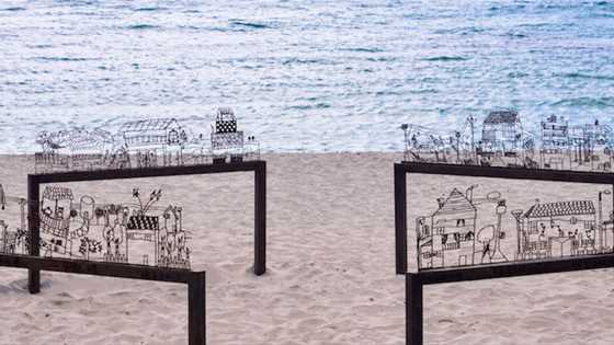 16 Years of Sculptures by the Sea