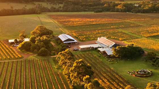 Biodynamic Margaret River winery named Australia's top winery in 2020