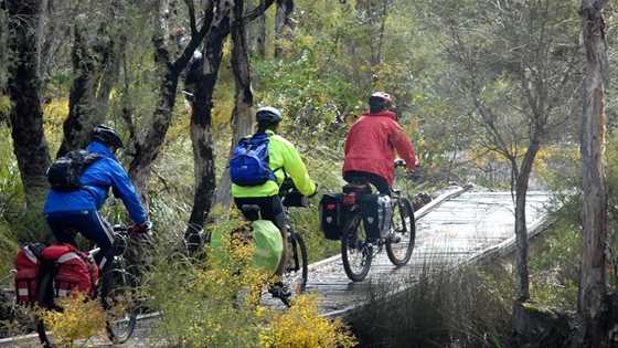 Mountain biking for beginners - Perth's best off-road trails and bike hire