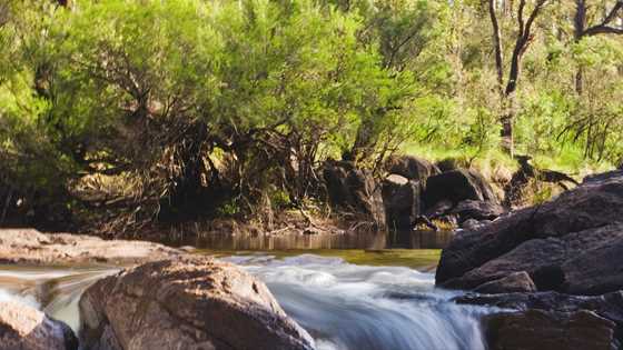 Step back in time in Nannup, home of heritage-listed timber town Donnelly River Village