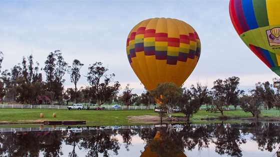 Hot Air Balloon tours in the Avon Valley: an incredible once-in-a-lifetime experience